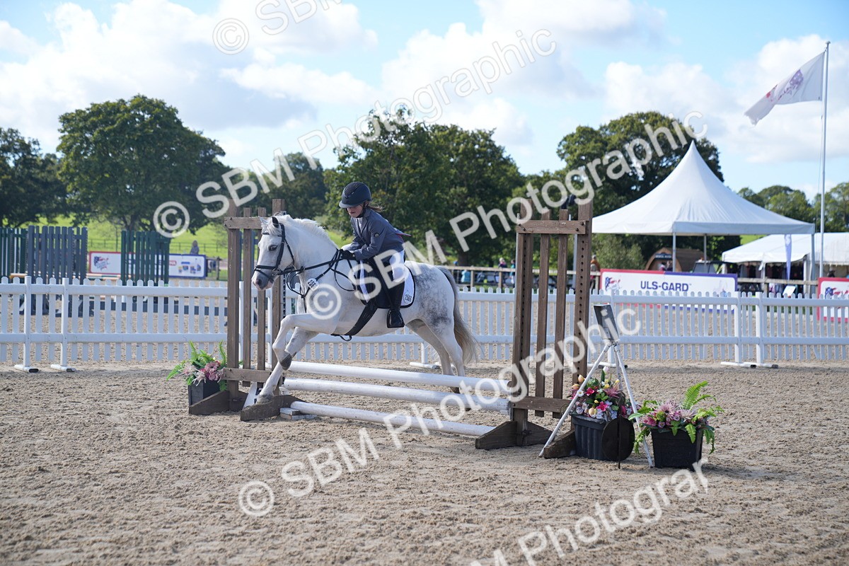 SBM_02463 - J54 Clear Round 45cm