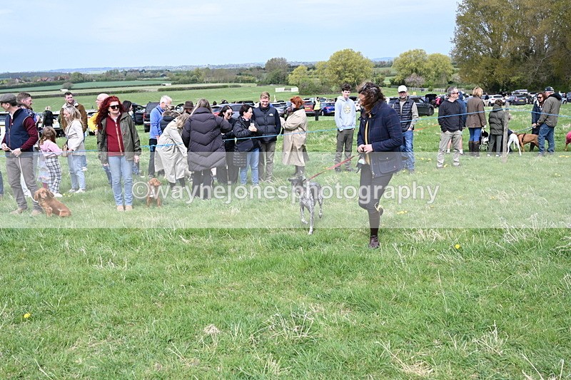 WJ6_8340 - Class 4 Prettiest Bitch