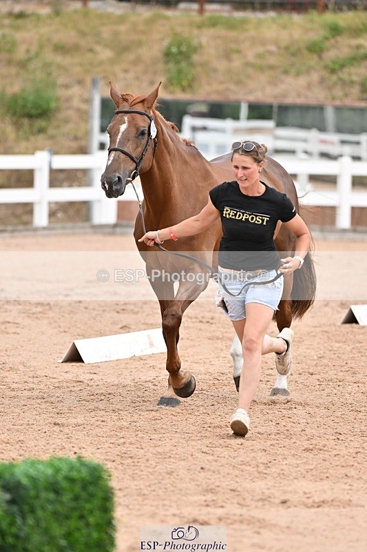 250716-143058-01157 - Trot Up 2.30 to 3.30