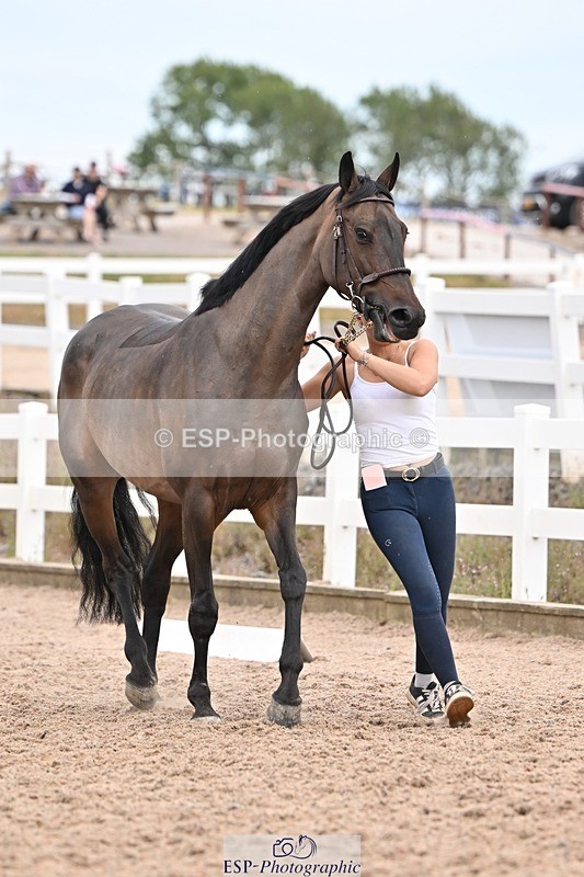 250716-161028-02487 - Trot Up 3.30 to 4.30