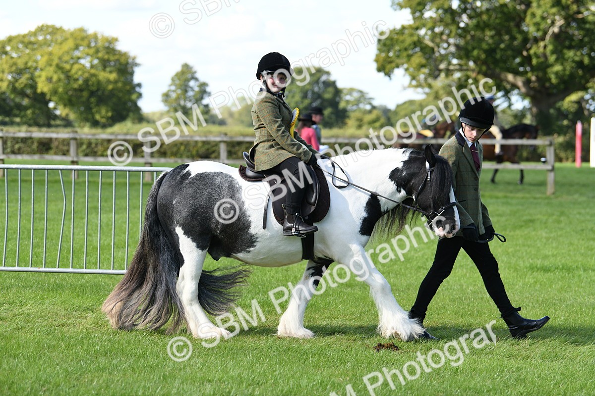SBM_39726 - S18 - Novice & Newcomers Lead Rein Pony