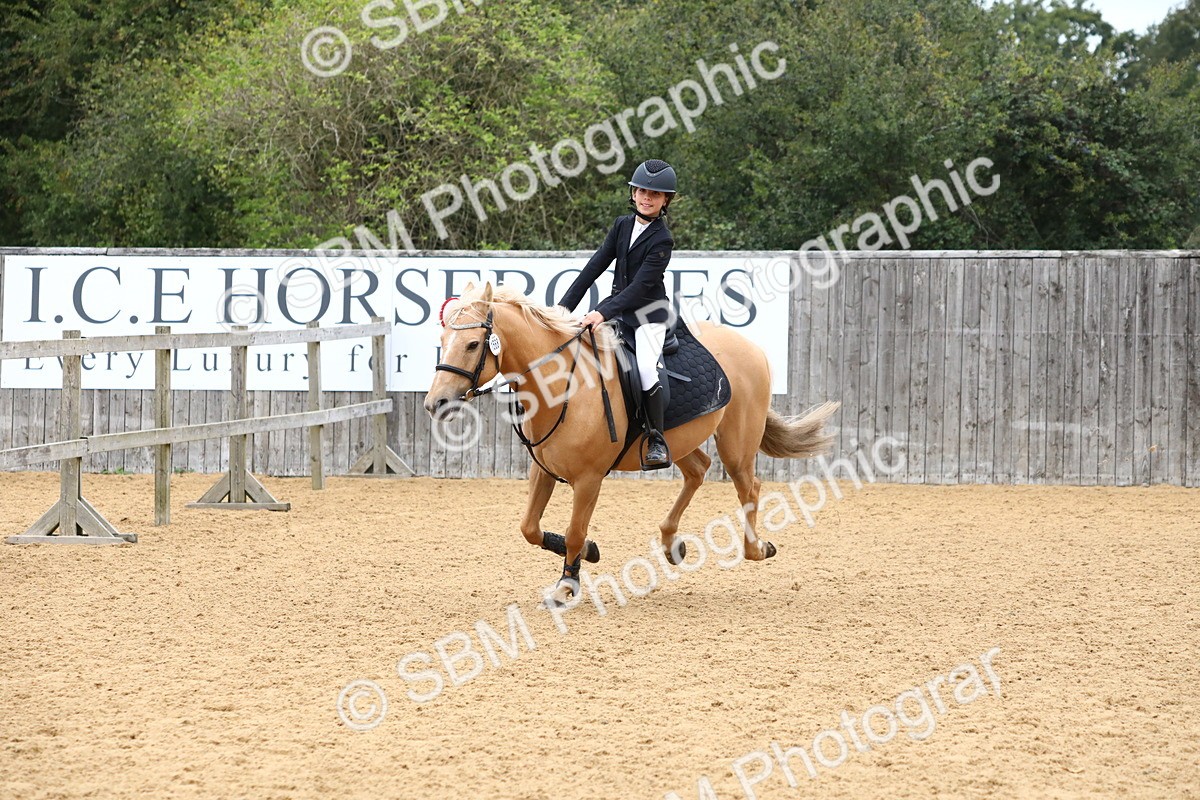 SBM_65192 - Supreme Championship 50cm 60cm 70cm