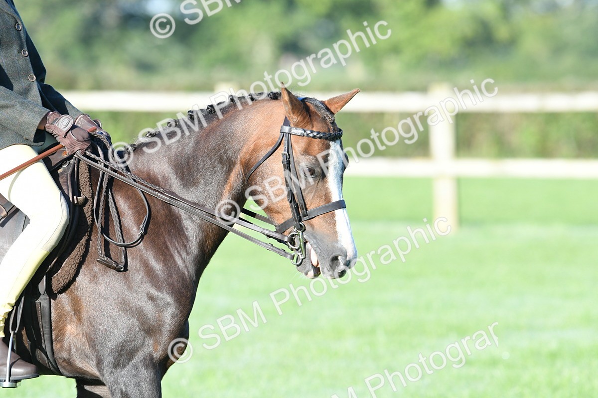SBM_33889 - S16 - Condition & Turnout - Ridden