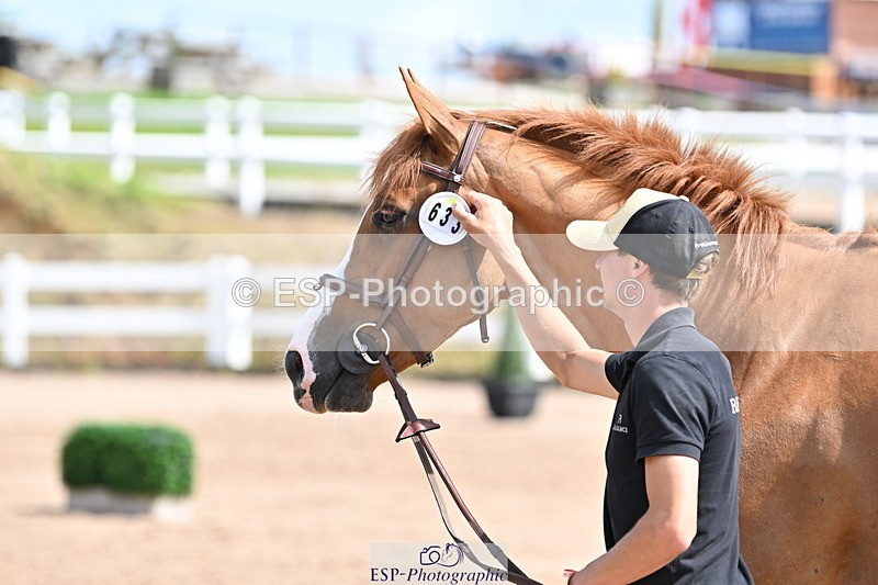 240717A-153400-02886 - Trot Up 3pm to 4pm