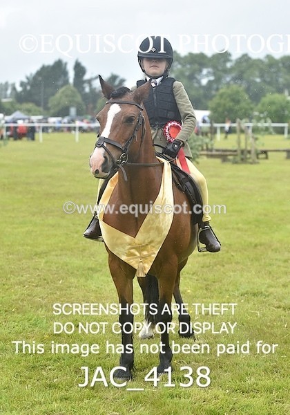 JAC_4138 - 40CM WORKING HUNTER