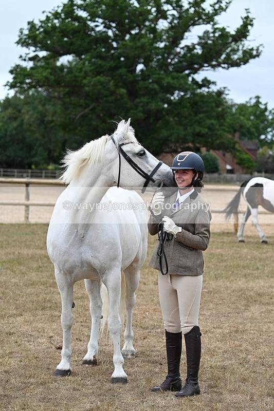 WJ7_9132 - Class 4a Prettiest Mare 14.2hh and over