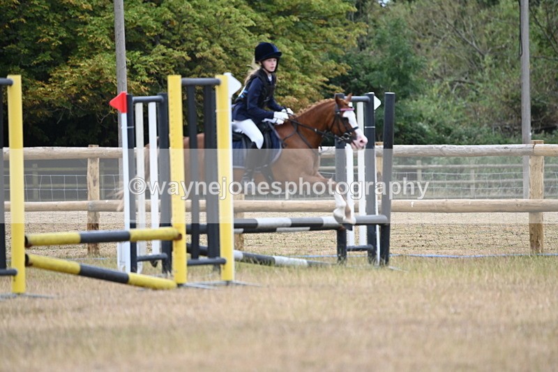 WJ6_0319 - Class 13 Novice Jumping 60cm