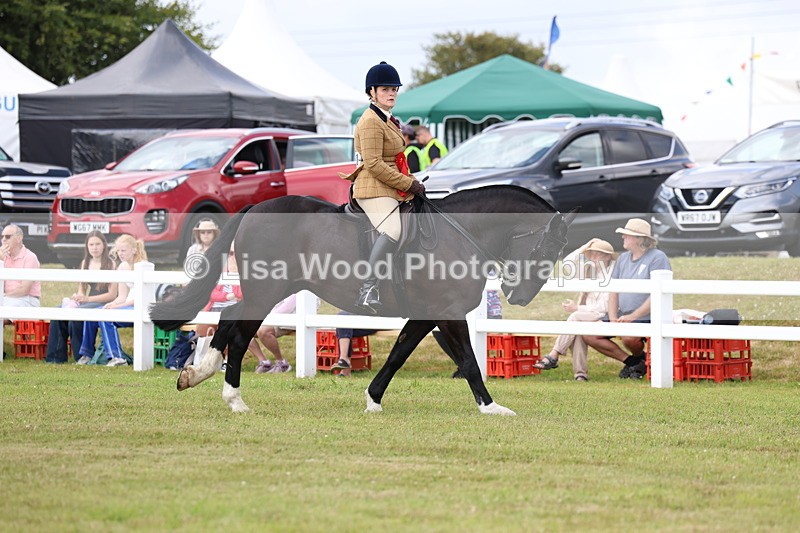 3E7A0513 - Rising Star Ridden Championship