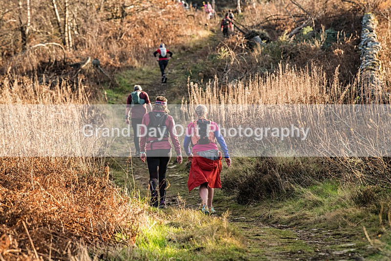 Tweed Valley-510 - High Terrain Events Tweed Valley 50 & 65K Ultra Trail Races Sunday 16th November 2025