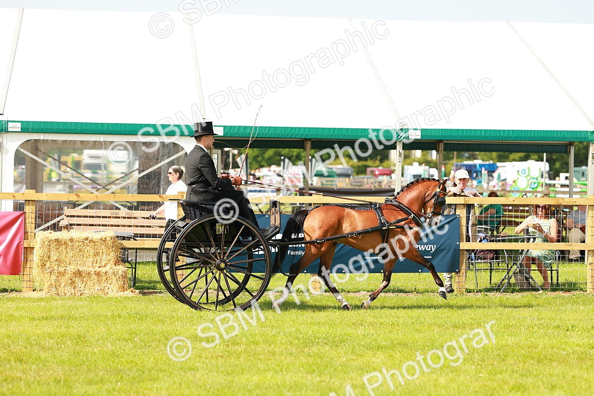 SBM_02557 - Class 2-4 - HOYS Private Driving