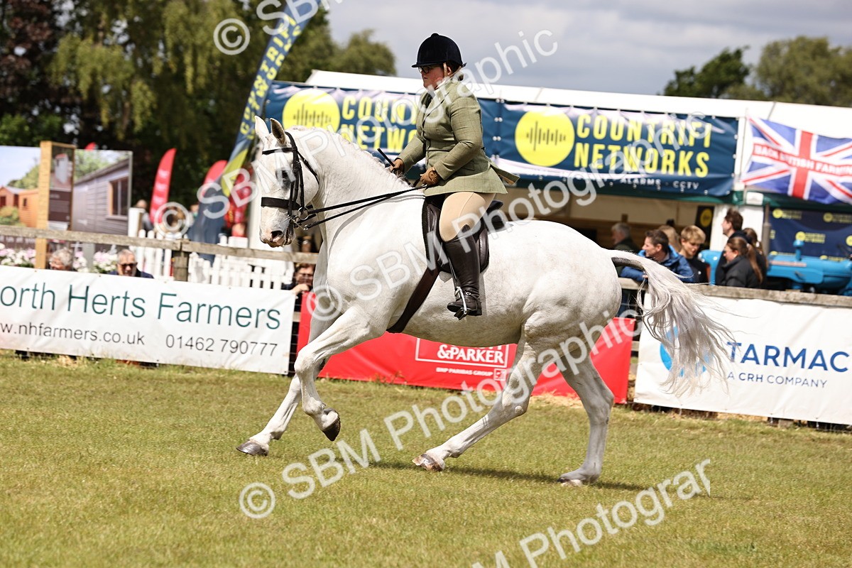 SBM_14681 - Class 88-89 - LIHS BSHA Rising Star of Ridden Hunter Type