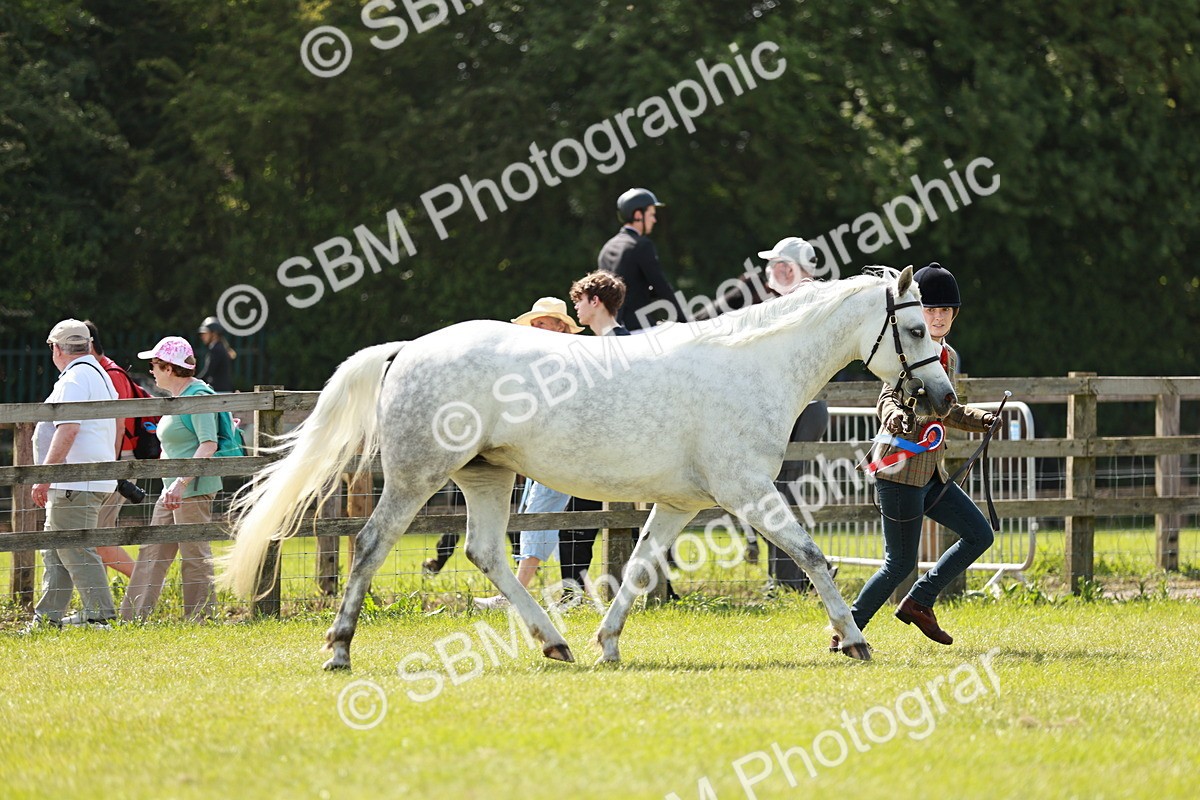 SBM_02484