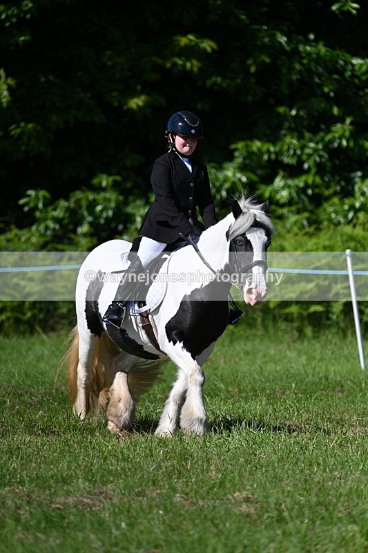 WJ7_0534 - Class 8 First Rally Pony