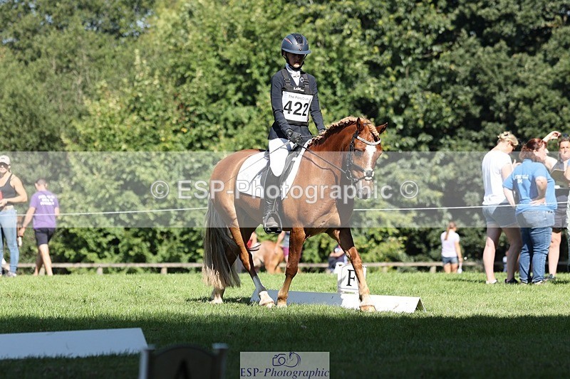 250823A-103608-27742 - Arena D