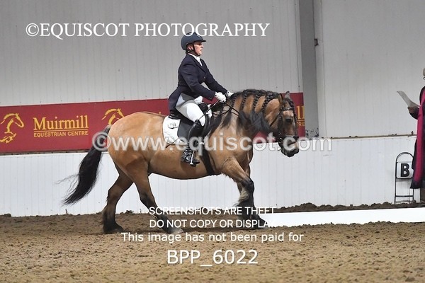 BPP_6022 - ELEM TEST 4