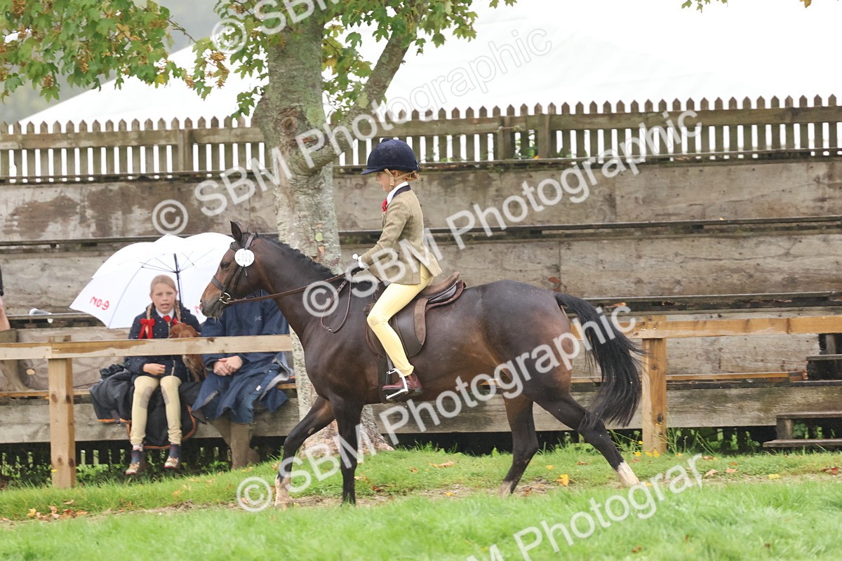 SBM_73024 - S63 Show Pony & Show Hunter Pony Ridden