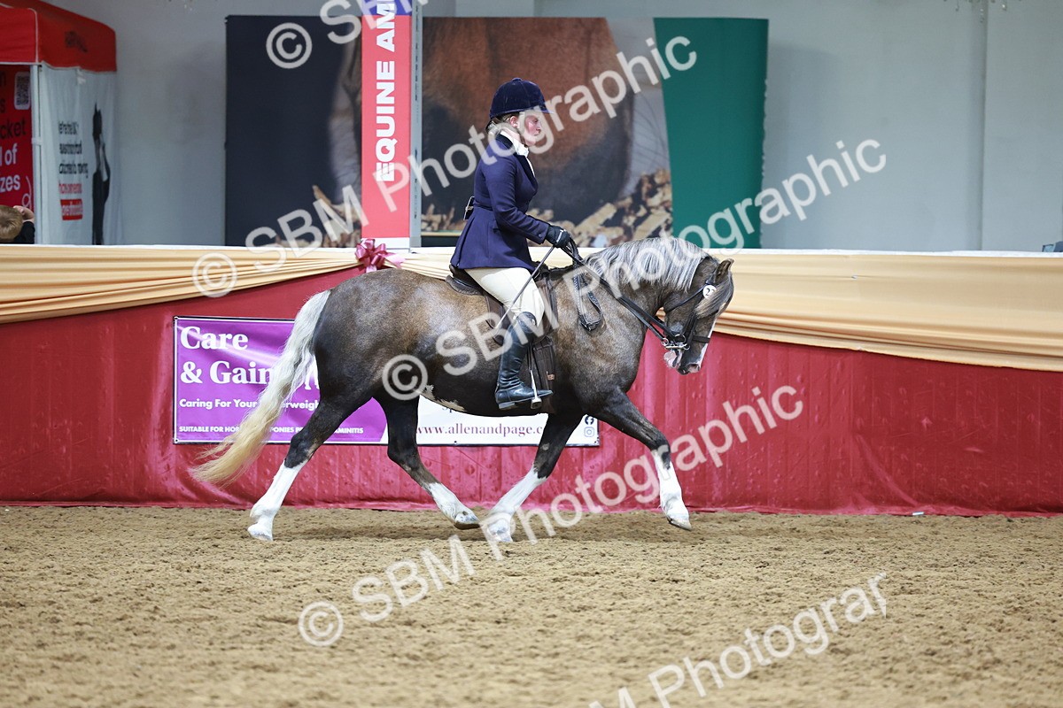 SBM_18636 - Class 952 - M&M Ridden Supreme Final