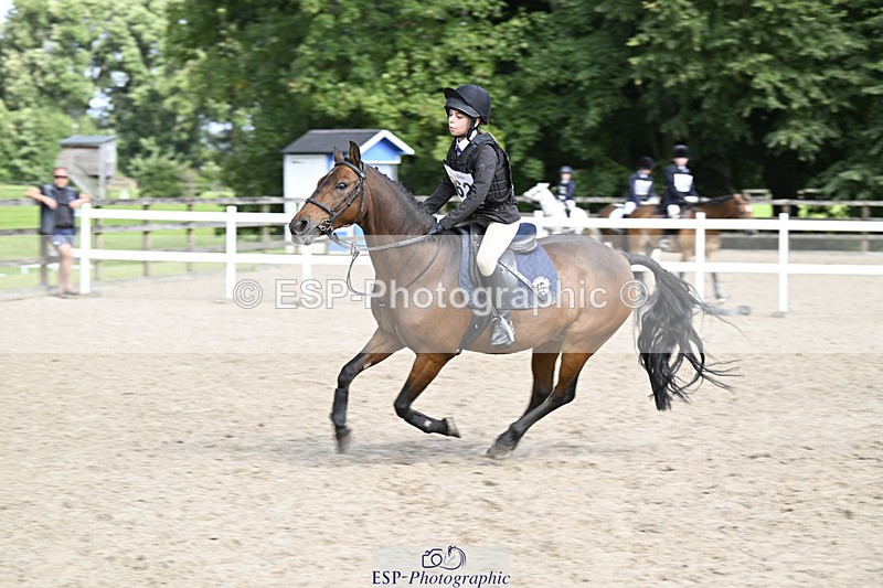 240823X-152727-18701 - 70cm R2 15.20 to 16.40