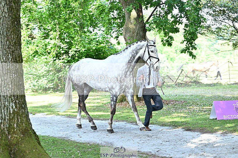 250521A-153334-00586 - B-311-Barnie.Brotherton-WHIXLEY.QUALITAS