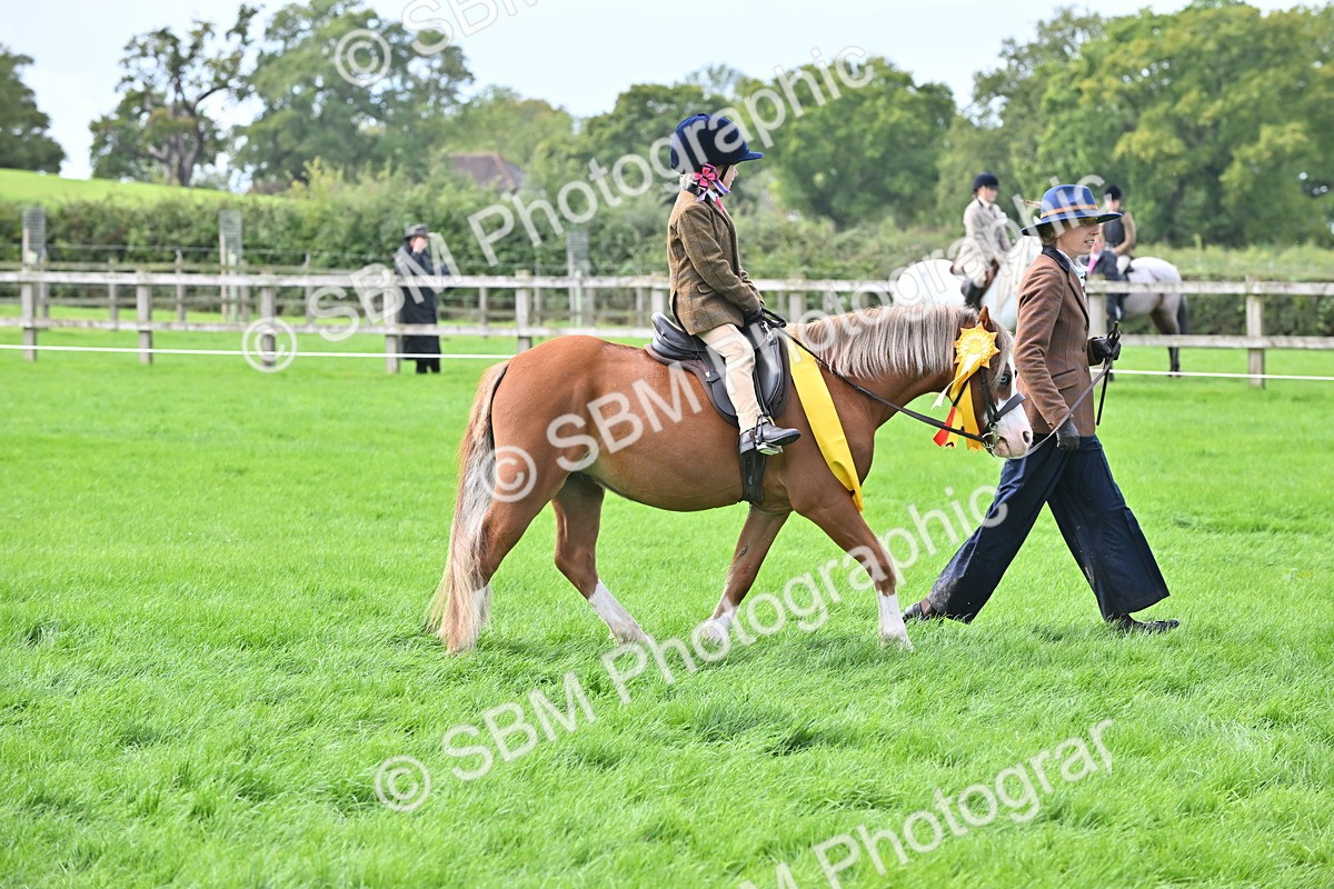 SBM_39345 - Lead Rein Supreme Championship