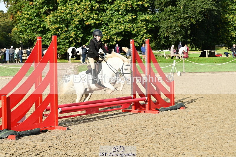 251004A-095001-00263 - Classes 1-2-3 40cm