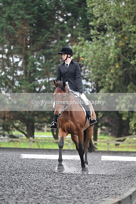 WJ7_2733 - Time 09:00 to 09:35