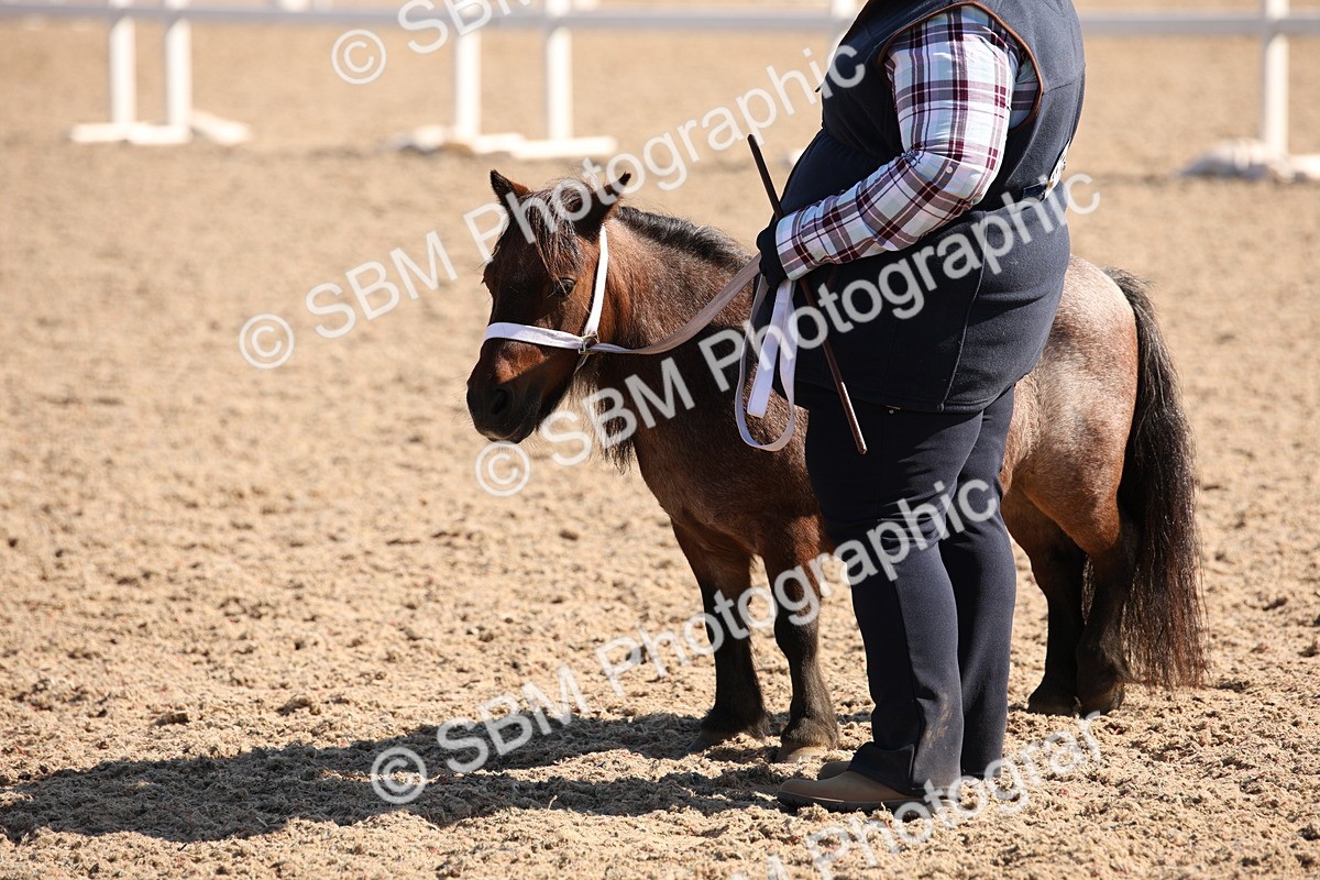 SBM_02814 - Class 16 IH M&M Wildcard