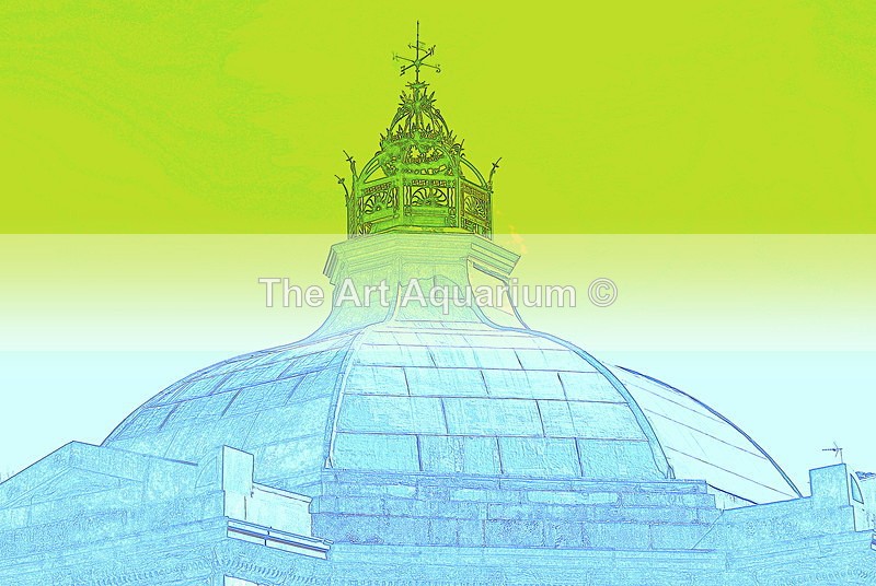 The Art Aquarium - Rachael Inchboard