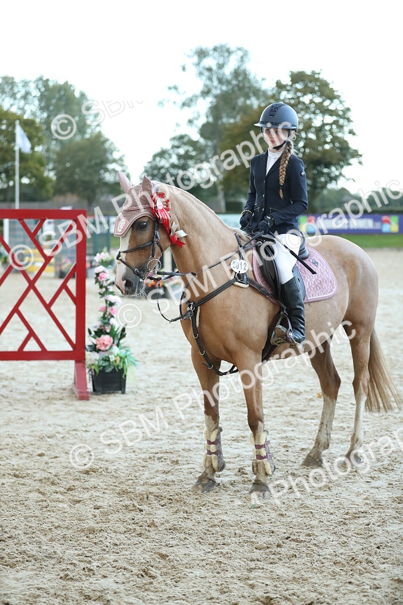 SBM_53790 - Supreme Championship 65cm 70cm