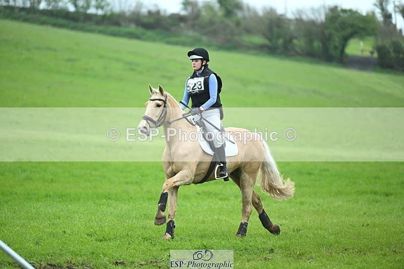 250419-130015-10724 - 523-Kate.Hicks-SWALLOWCROFT.STARDUST