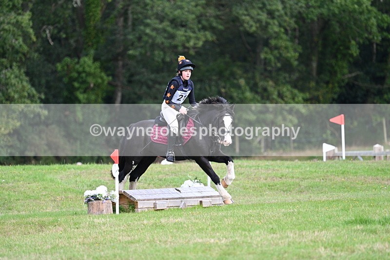 WJ7_8041 - 40cm Time 10:49 to 11:18