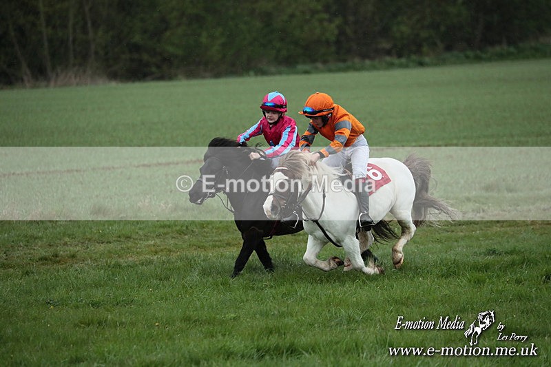 SHETPR 210425 85 - Shetland Ponies Paxford Races 21/04/25