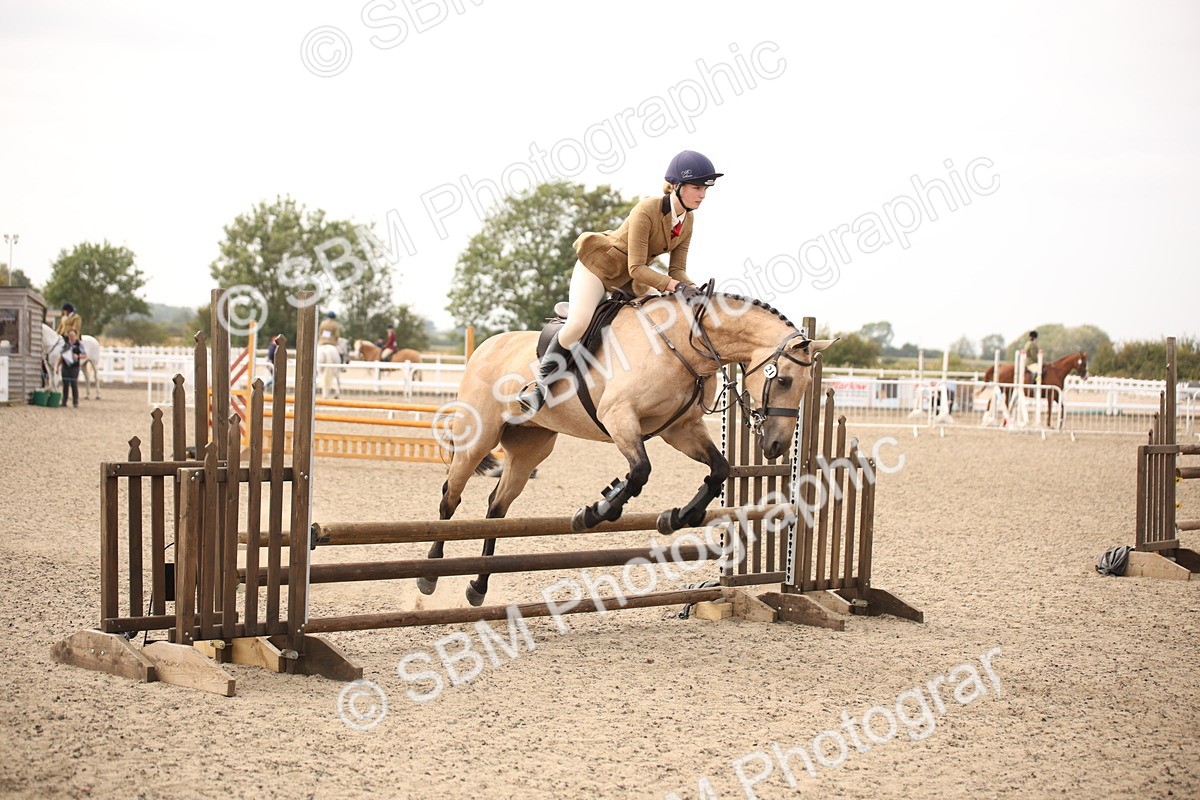 SBM_17149 - Class 409b - Working Veteran 80cm (20+)