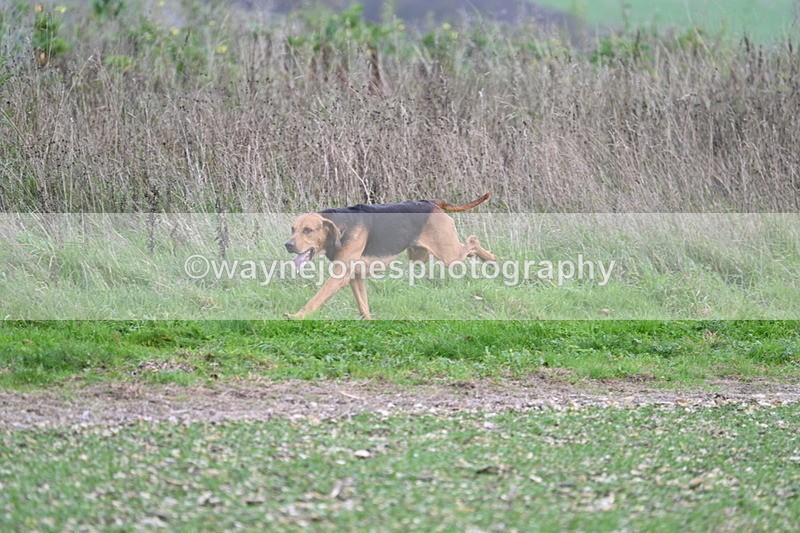 WJ7_2527 - Camera A