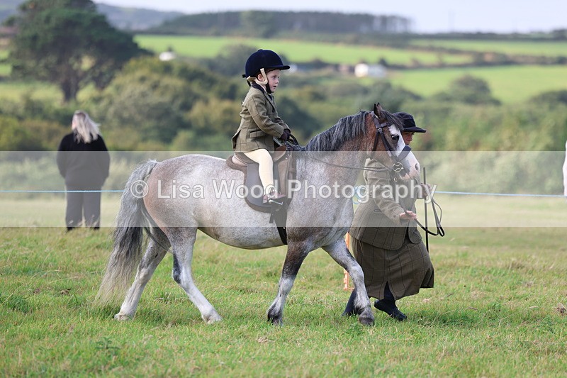 3E7A3373 - Class 2: Lead rein