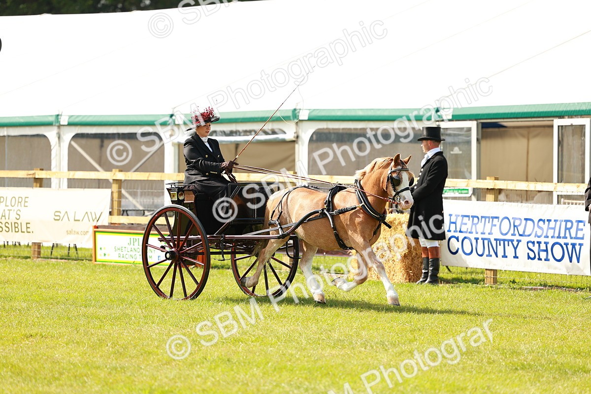 SBM_02540 - Class 2-4 - HOYS Private Driving