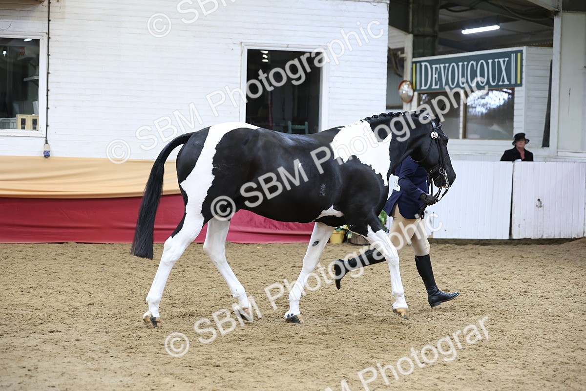 SBM_23665 - class 906 - Supreme Final - Ridden Pre Vet