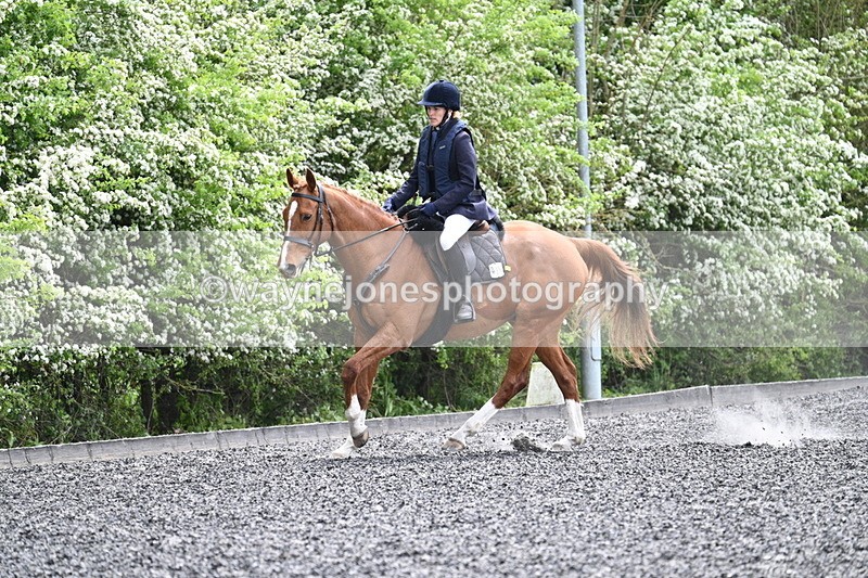 WJ7_0811 - Time 14:01 to 14:12