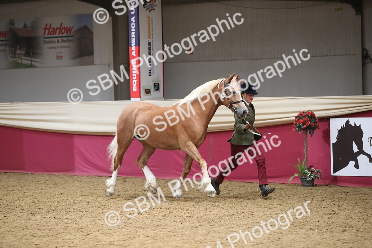 SBM_05281