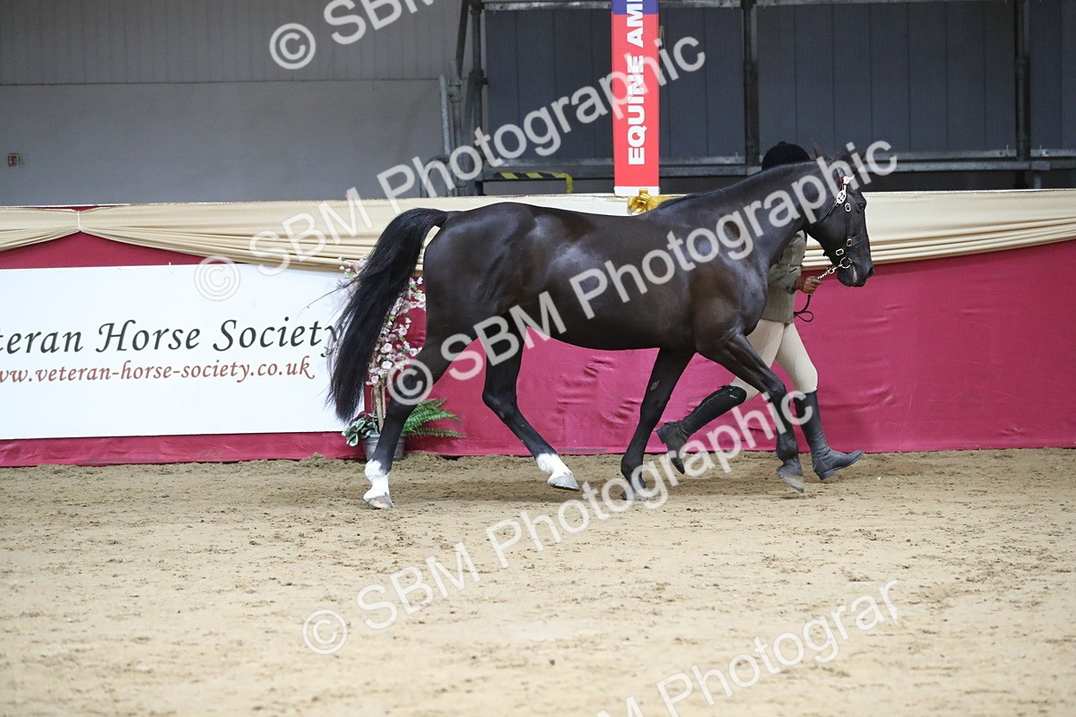 SBM_05032 - Class 8R- Regional -IH Veteran