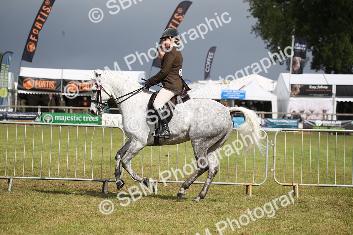 SBM_11525 - Class 95-96 - LIHS BSHA Rising Star Hack Riding Horse