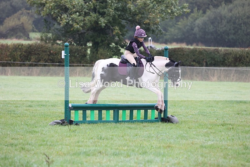 JPP_4979 - Class 1: 65cm : Showjumping