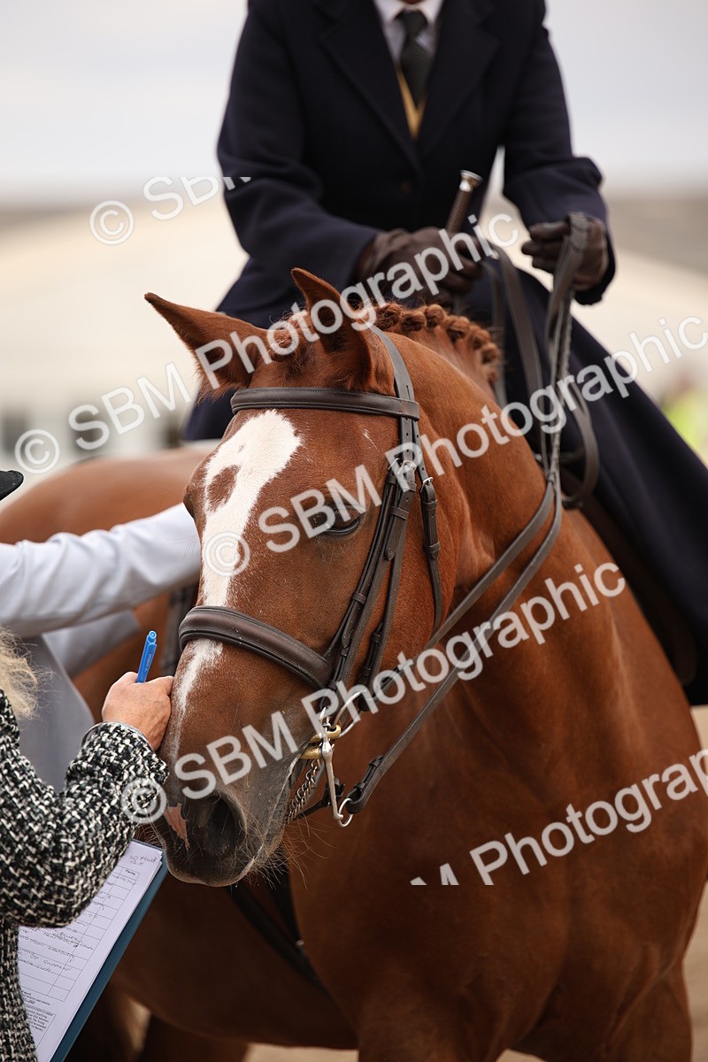 SBM_05481 - Class 22 SSA Equitation
