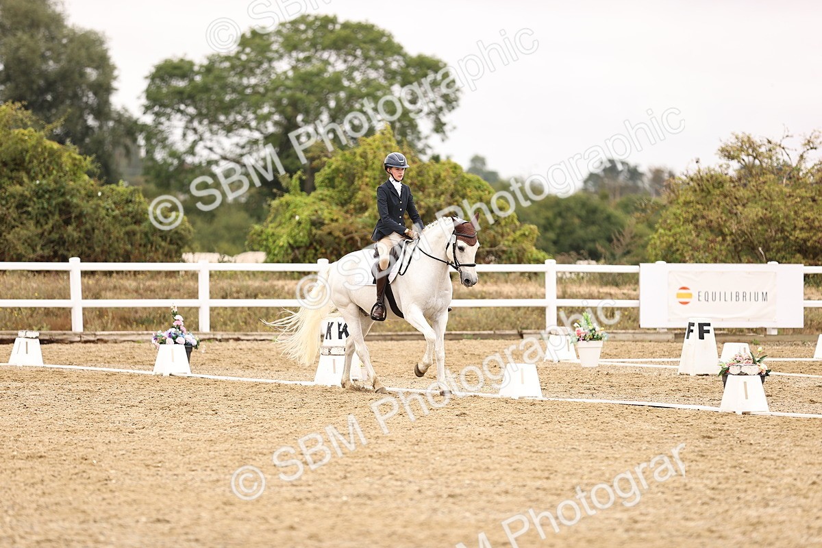 SBM_003217