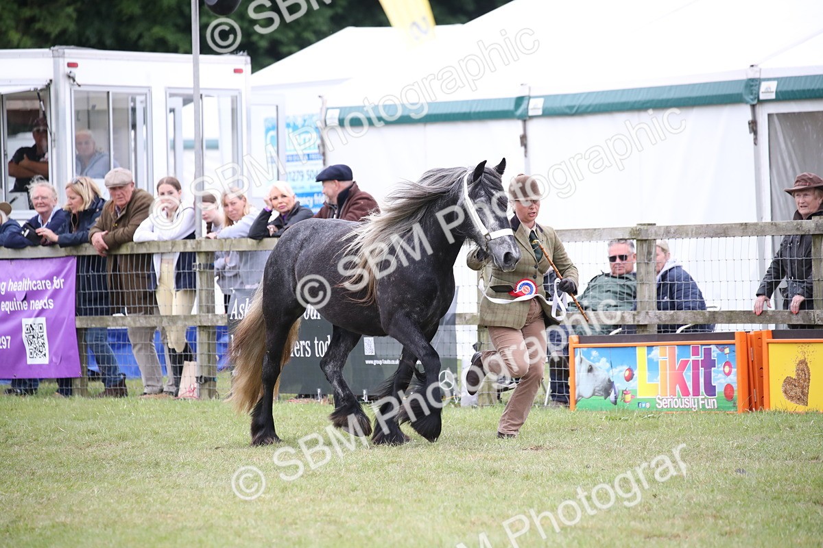 SBM_09792 - Ch 50 - Price Family Supreme In Hand