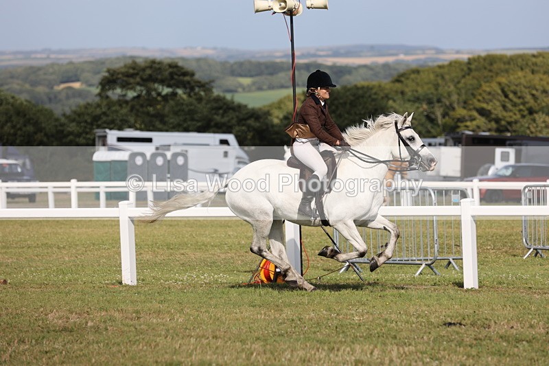 JPP_2928 - Class 20: Working Hunter 70cm