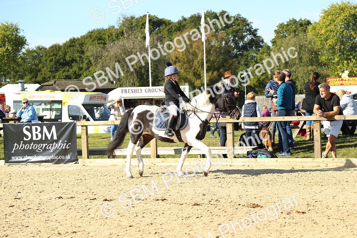 SBM_35903 - J5 - Junior Pony 50cm Championship