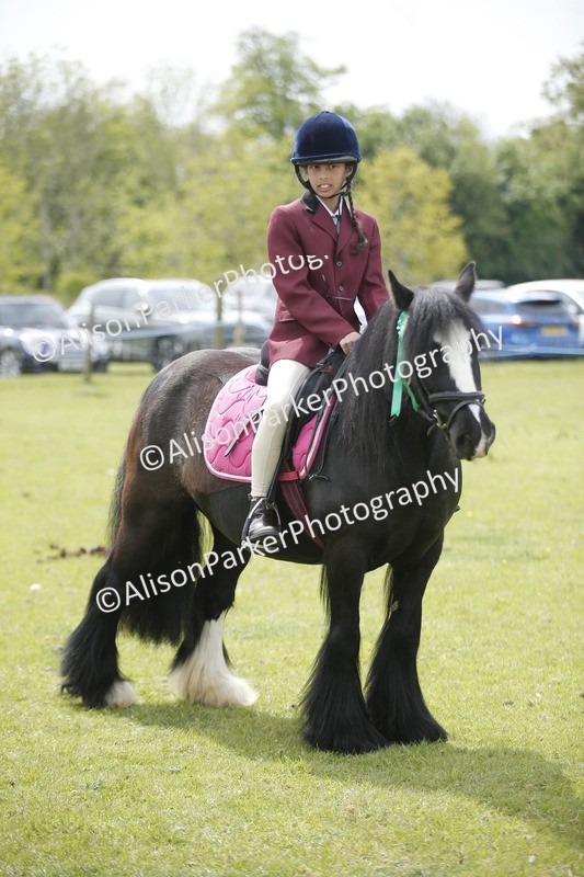 20260426-3466 - Class 11 - Best Mane and Tail