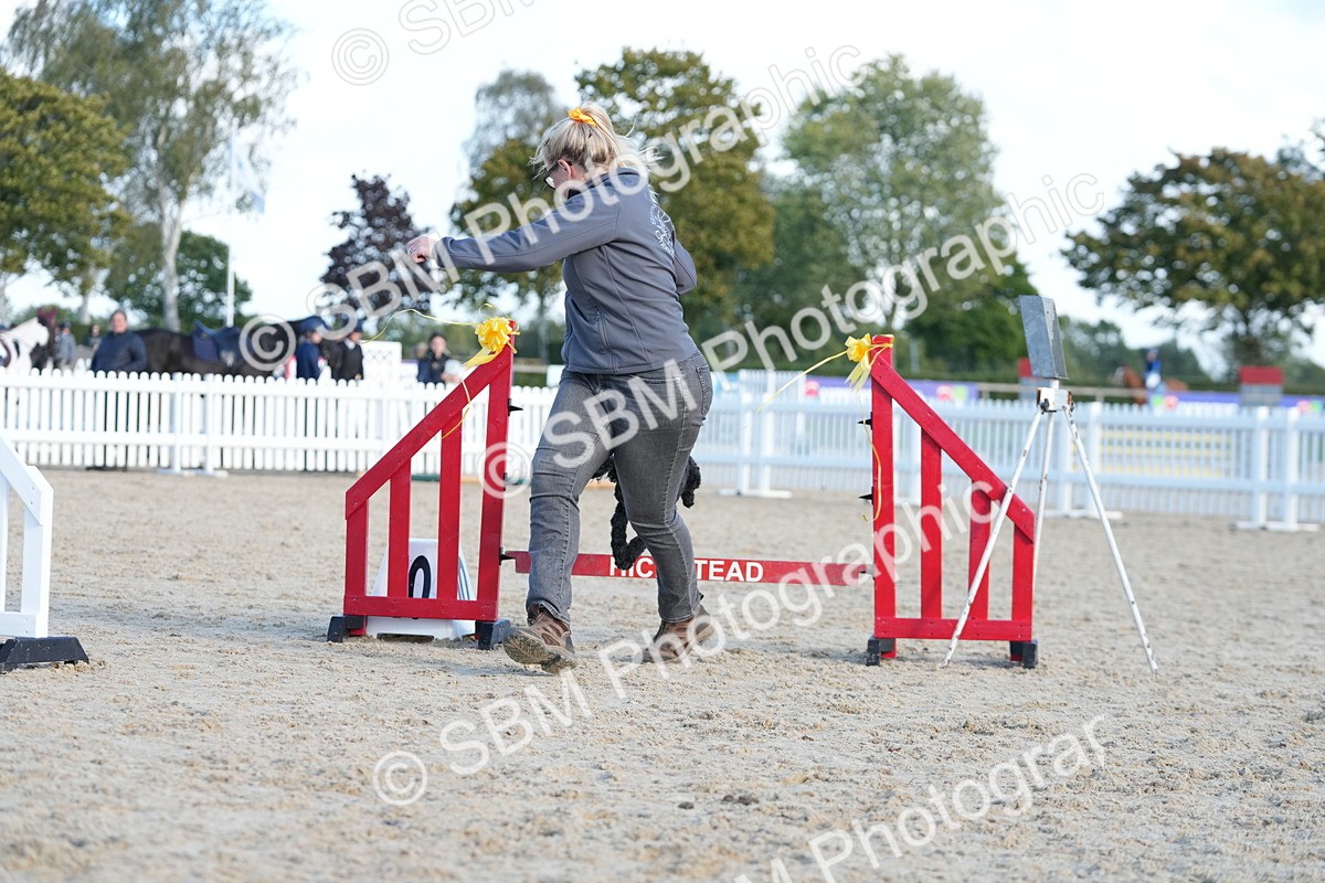 SBM_29006 - J43 - Horse & Hound Open 50cm