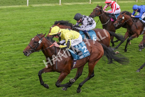 230923-Race 3-Politico-5302 - Race 3 3.10pm Happy 60th Birthday Angela Clark Nursery Handicap